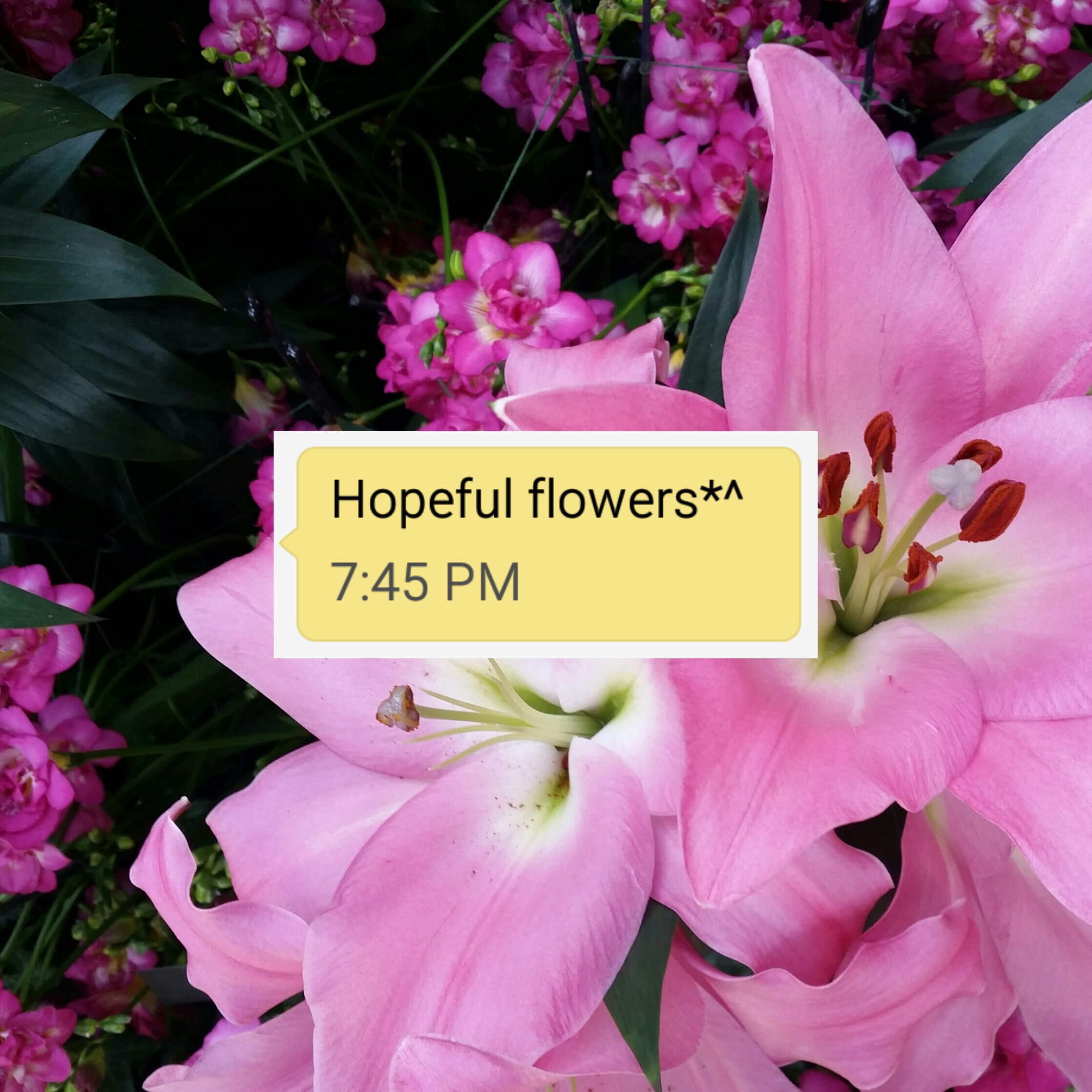 Hopeful Flowers