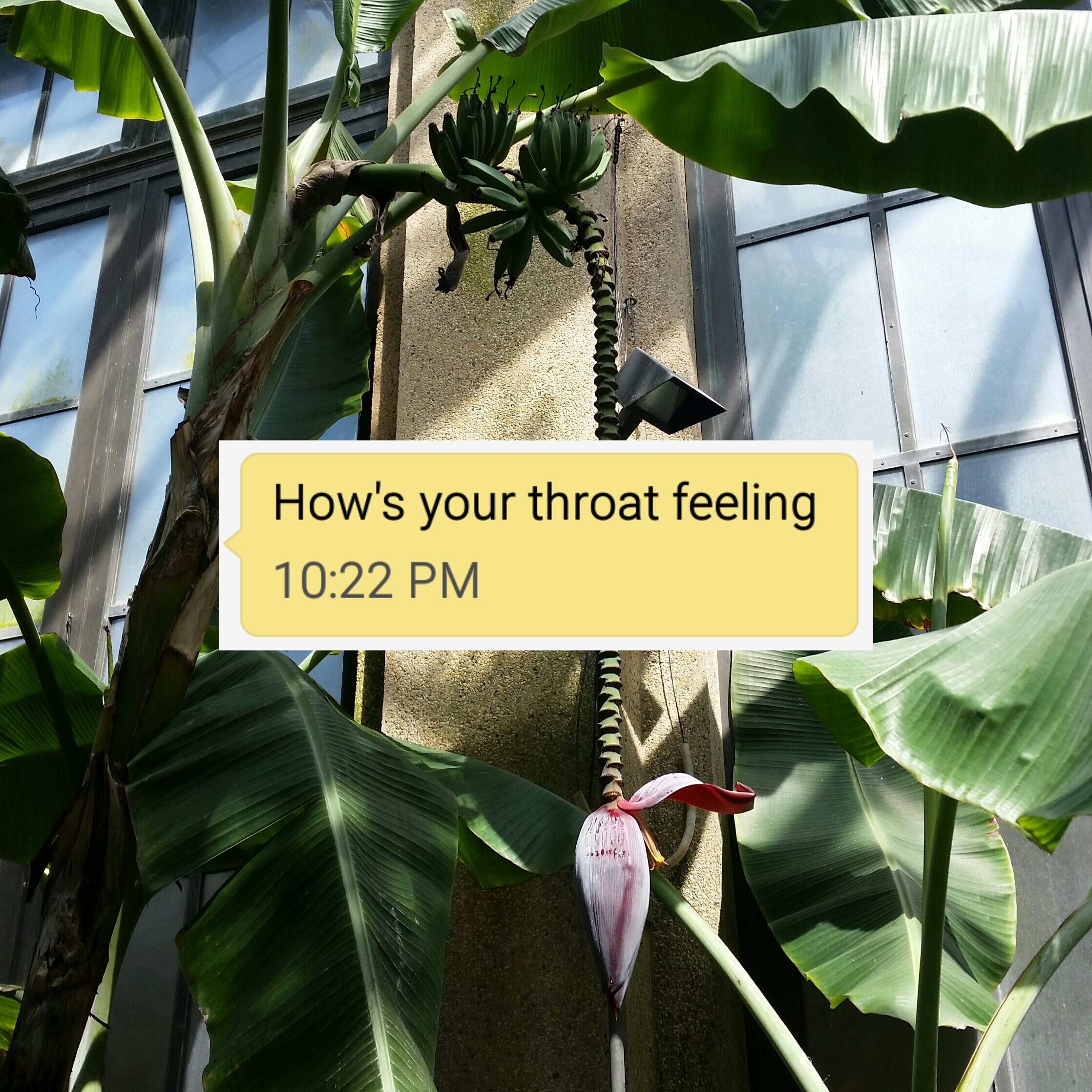 How's Your Throat Feeling