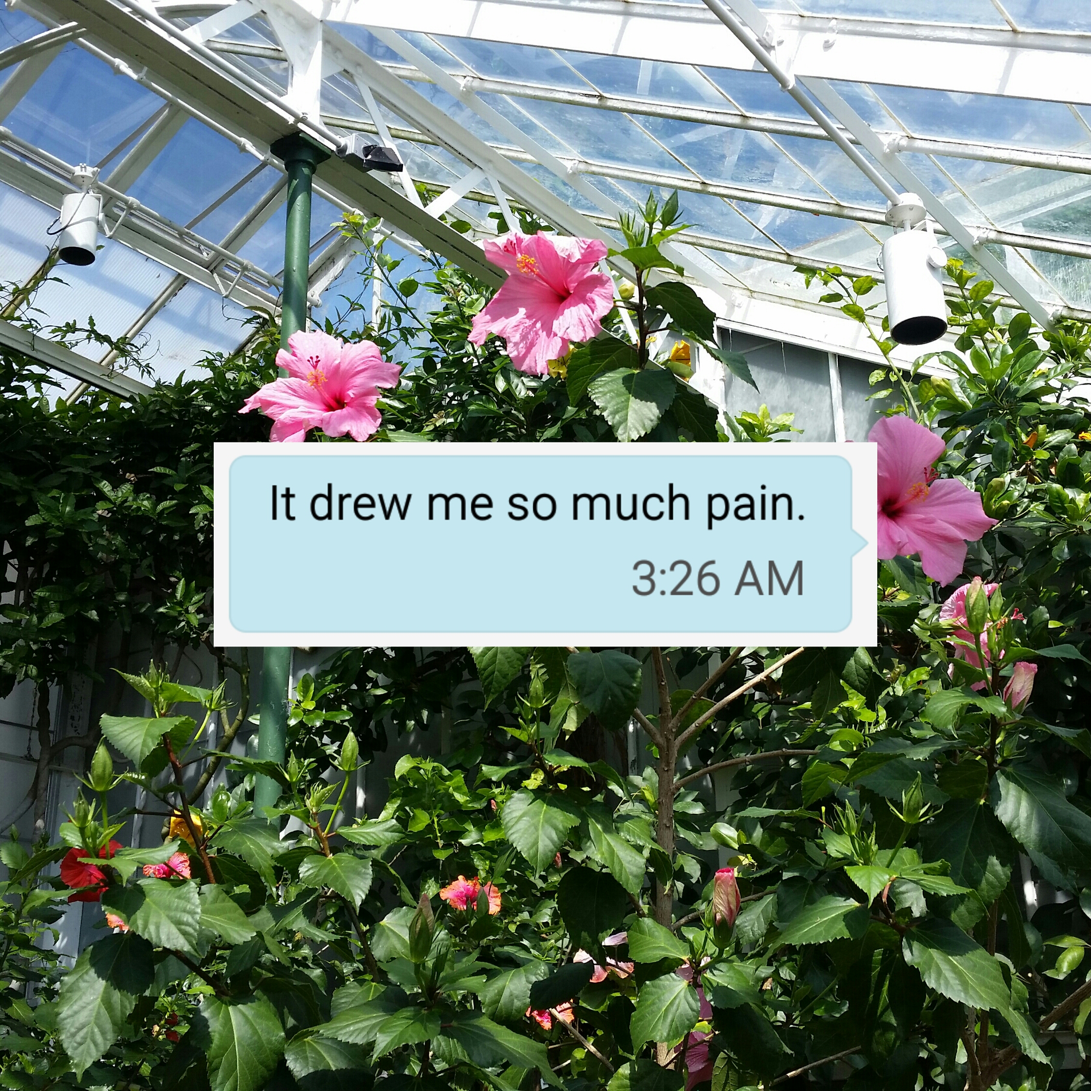 So Much Pain
