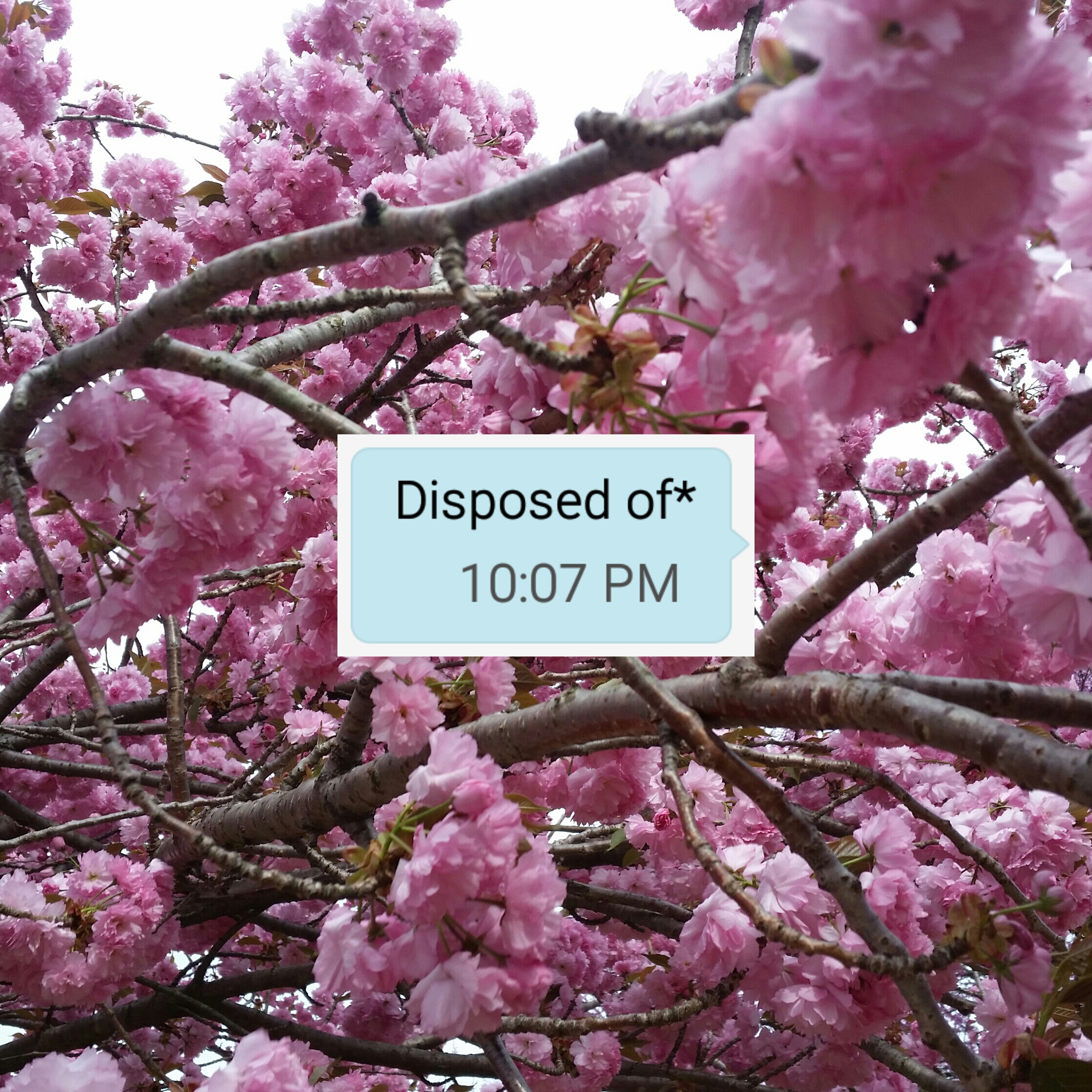 Disposed of*