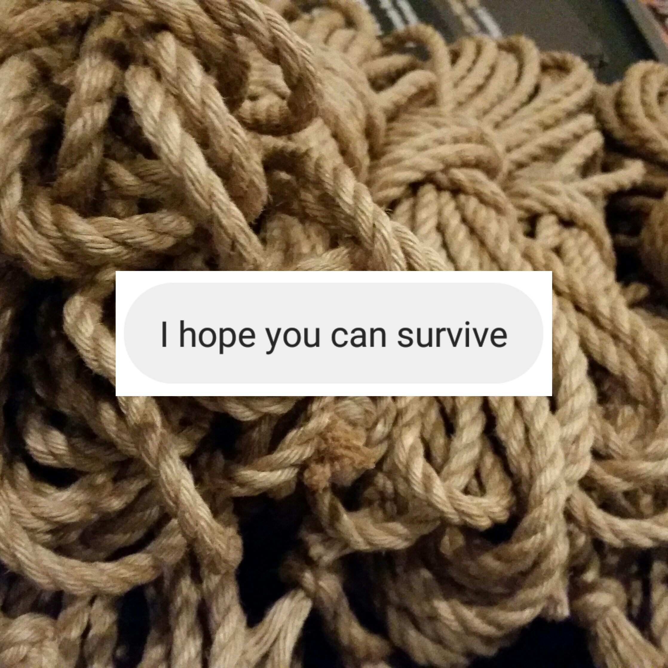 Survive