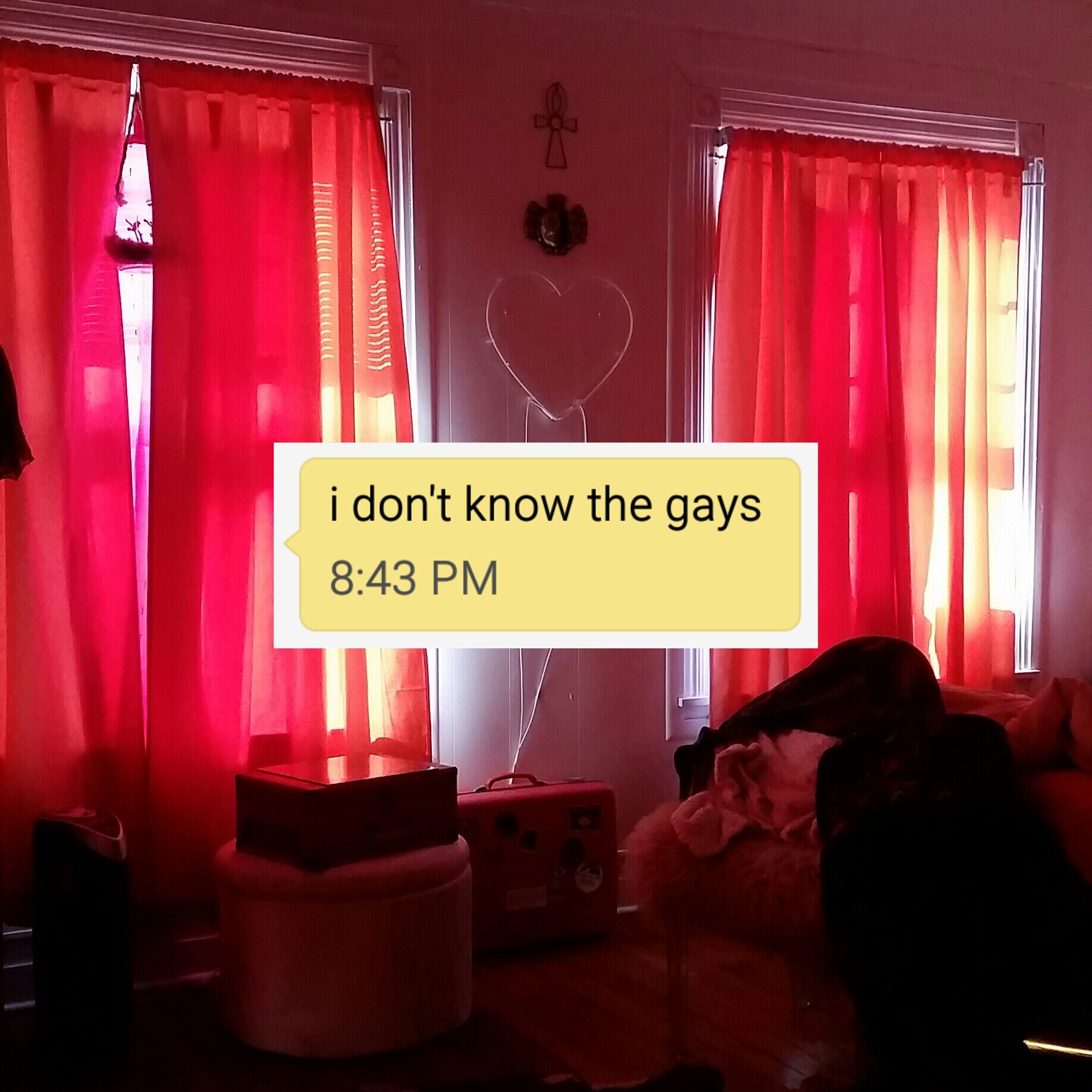 I Don't Know The Gays