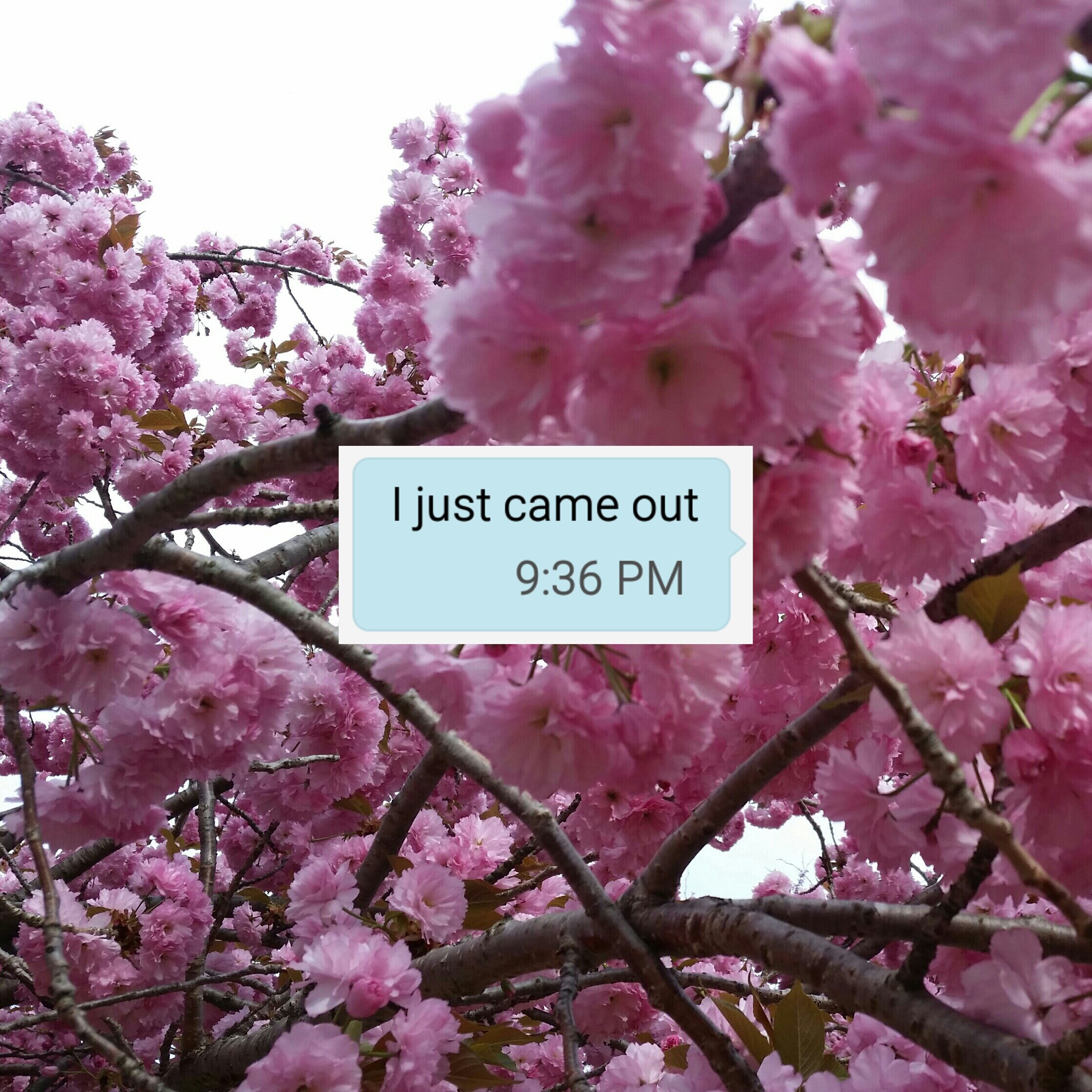 I Just Came Out