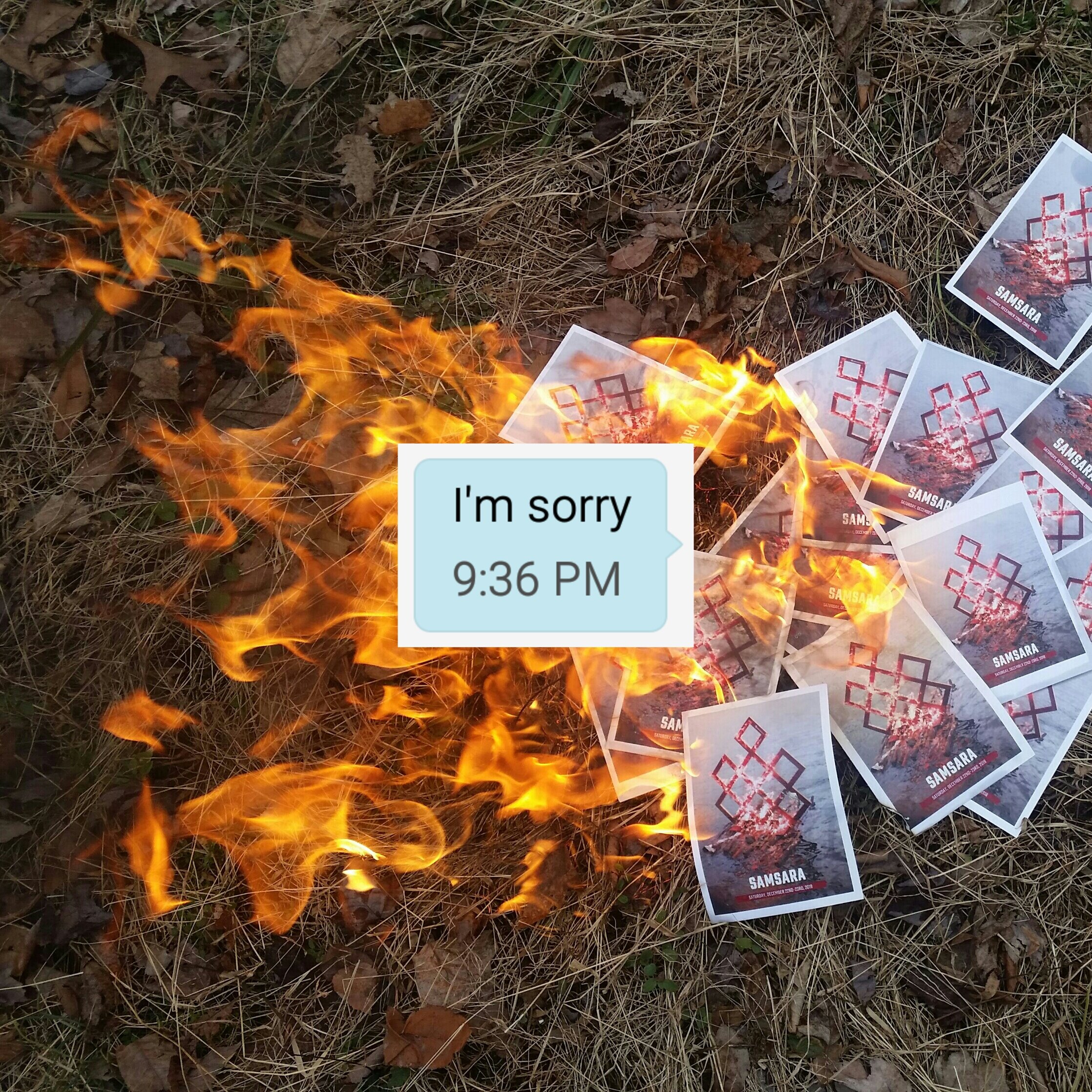 I'm Sorry