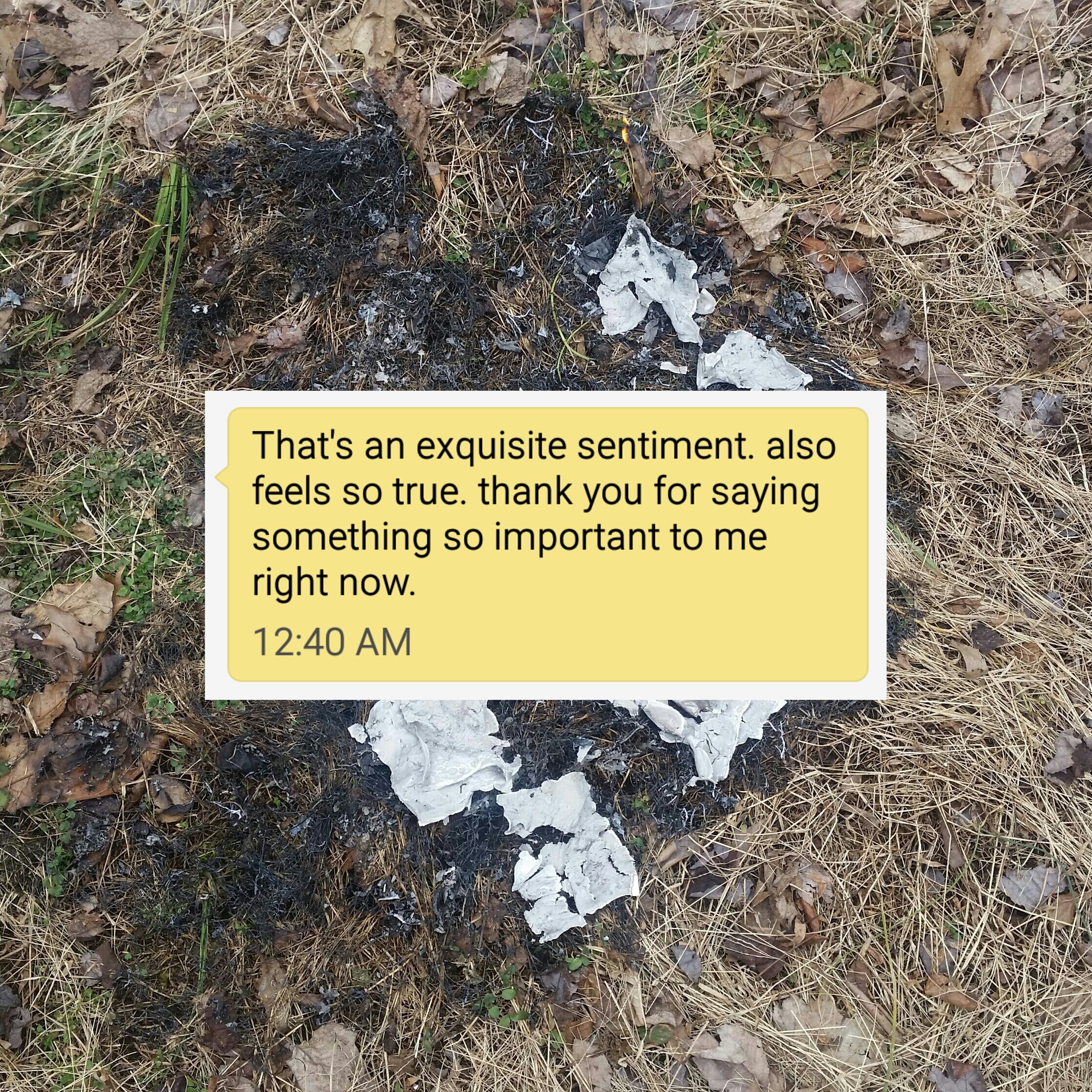 An Exquisite Statement
