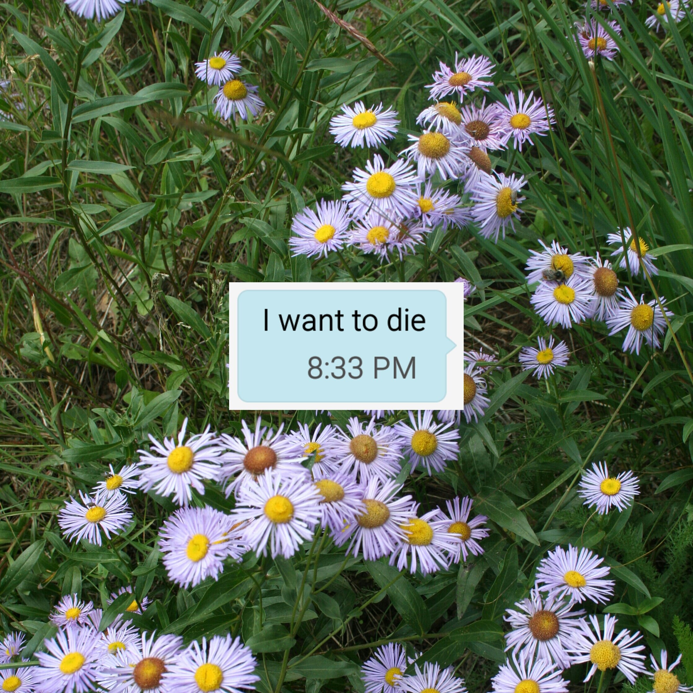 I Want To Die