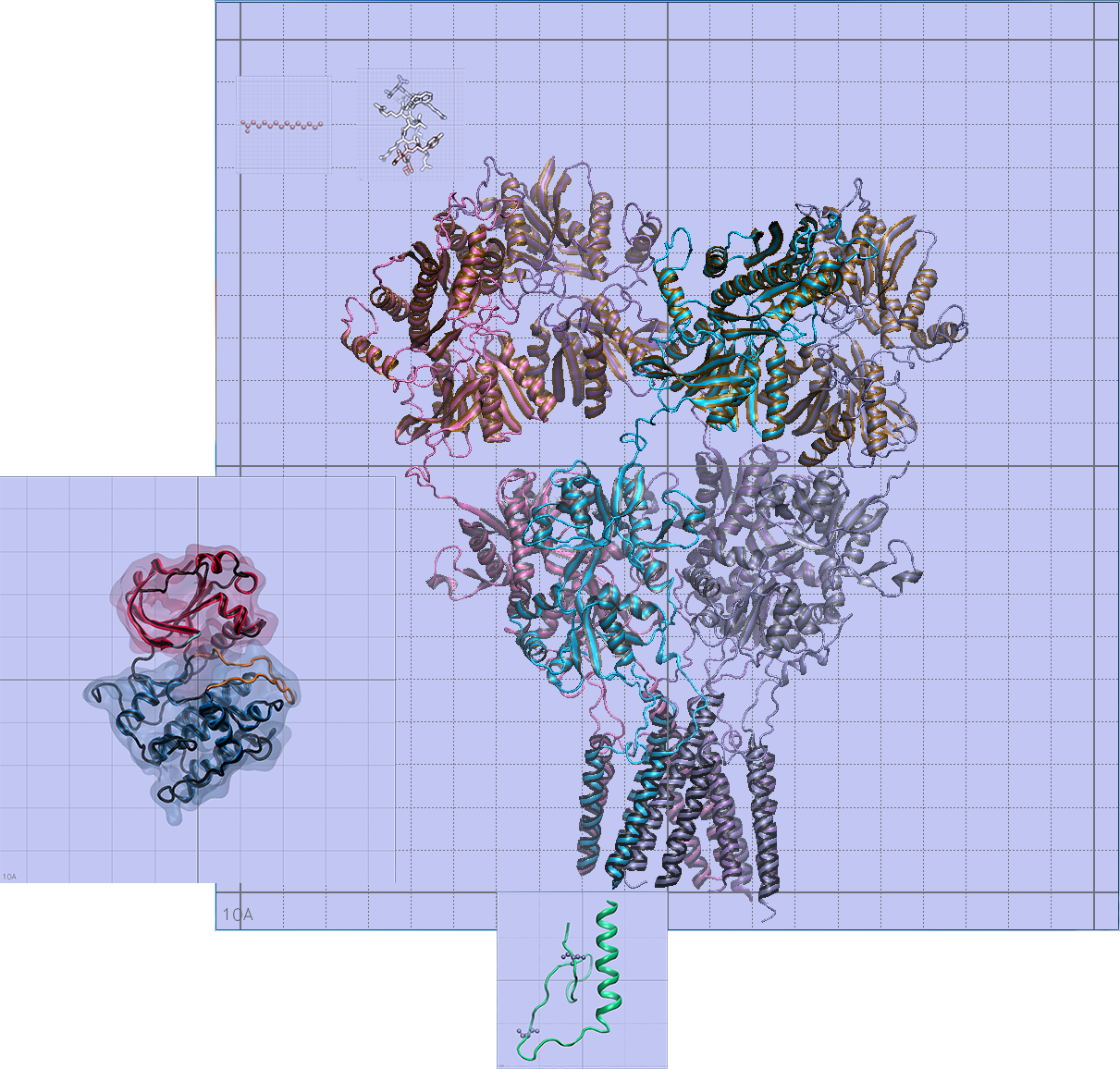 PKMz_ruler_scene.png