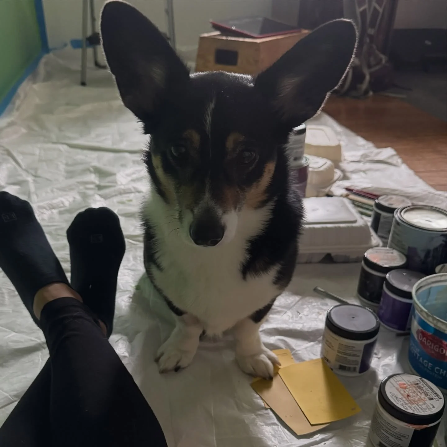 Day 3. Supervisor periodically yells at me, then stares intently at me my entire lunch. She cute though. 
.
#muralsbynancy #mural #muralart #seattlemuralist #wip