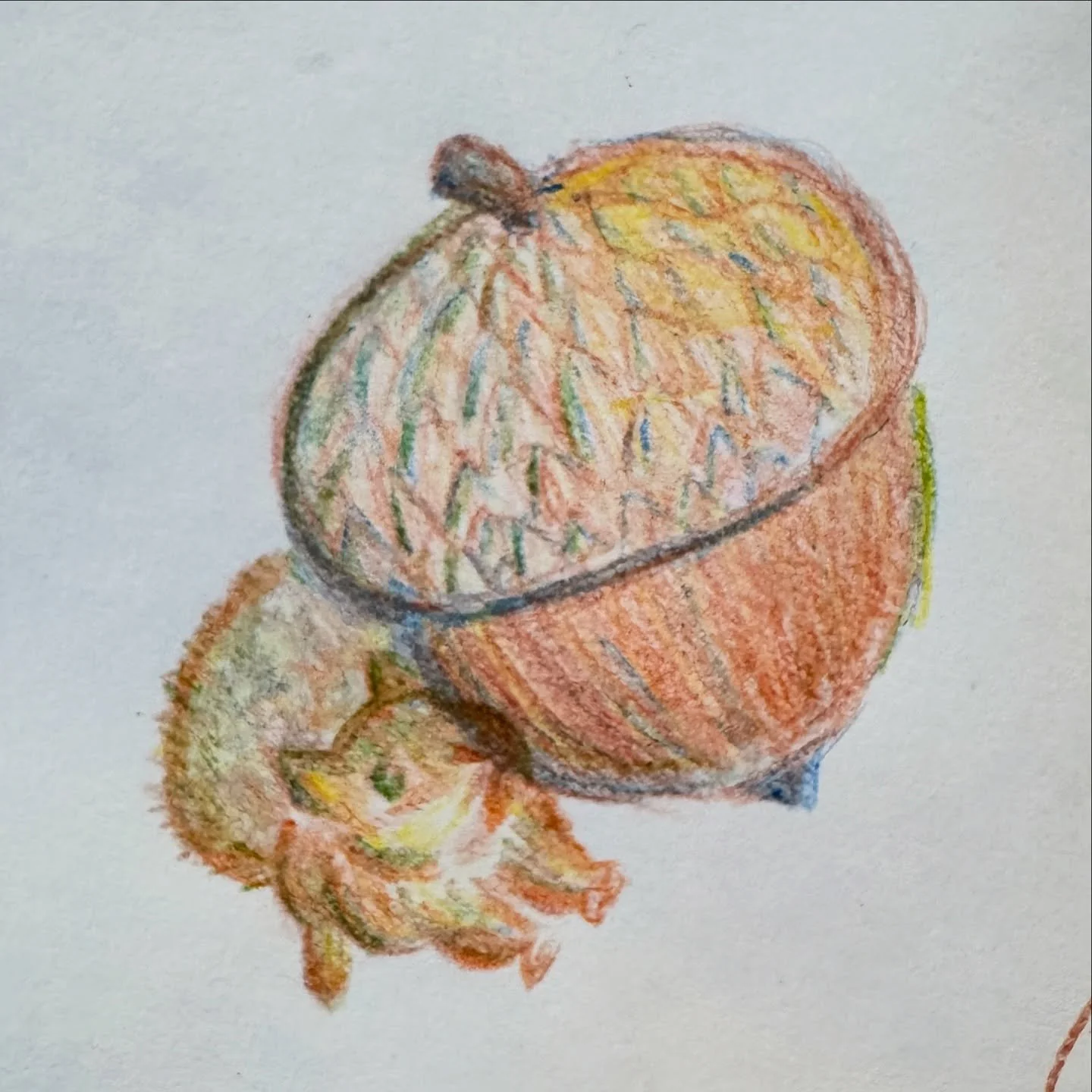 #peachtober25 DAY 1-3: ACORN. KITE. SLUG. 
I&rsquo;ve never done any of these October daily drawing challenges before. It is pretty intimidating, and I didn&rsquo;t think I&rsquo;d post, especially when you see everyone else&rsquo;s beautiful work. B