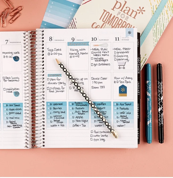 Erin Condren Vertical &nbsp;Life PlannerErincondren.com