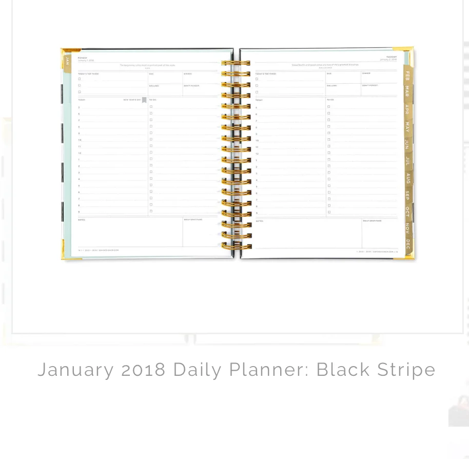 The Daily Simplified Planner