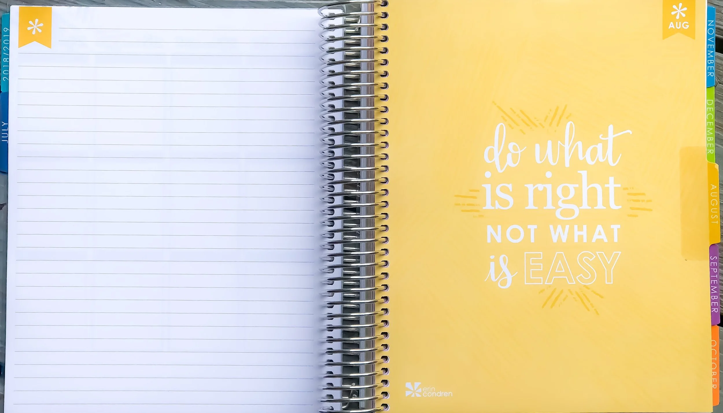 &nbsp;2019 Erin Condren Life Planner ~ Note Page Before Month Starts. &nbsp;  