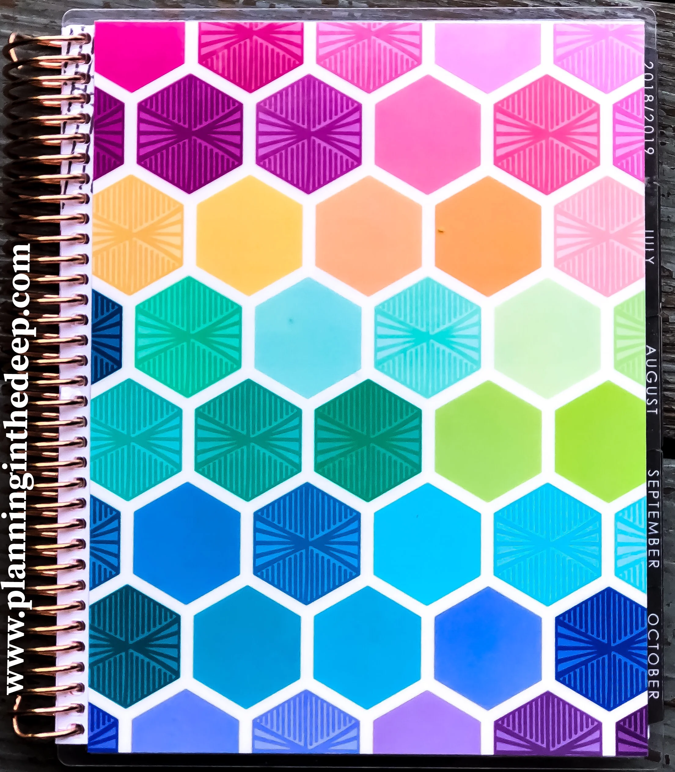 2018-2019 Erin Condren Monthly Deluxe Life Planner