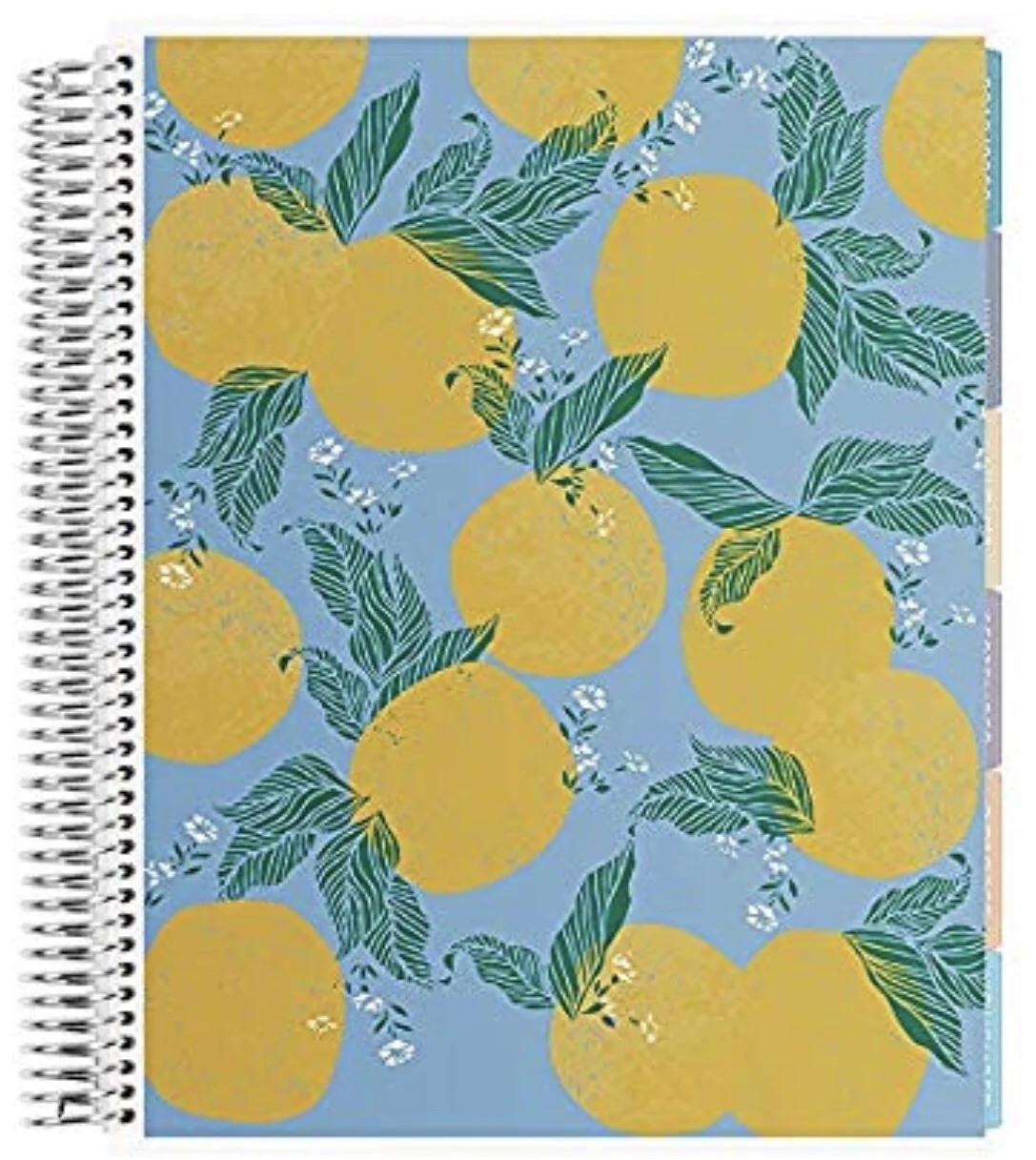 20 ultimate planner picks for the new school year