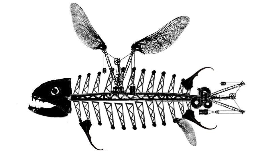 fish machine 1.jpg
