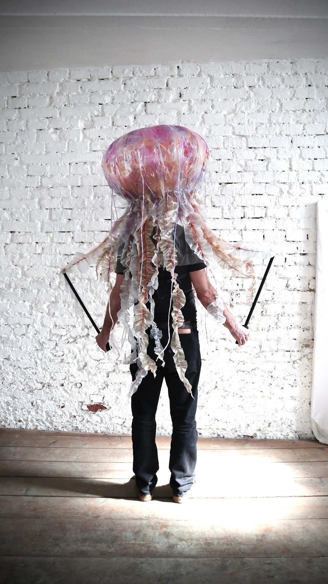 Jellyfish.jpg