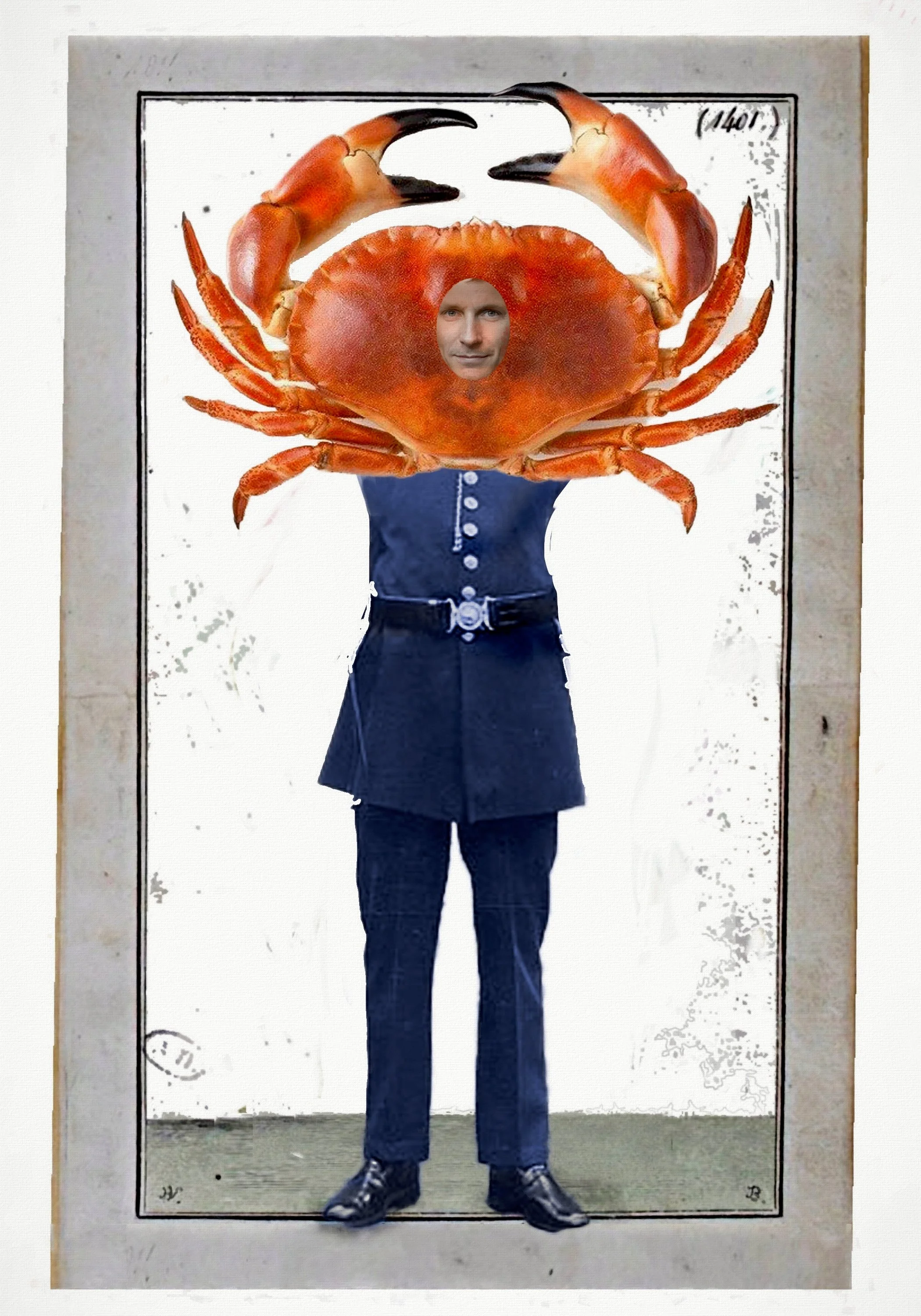crab.jpg