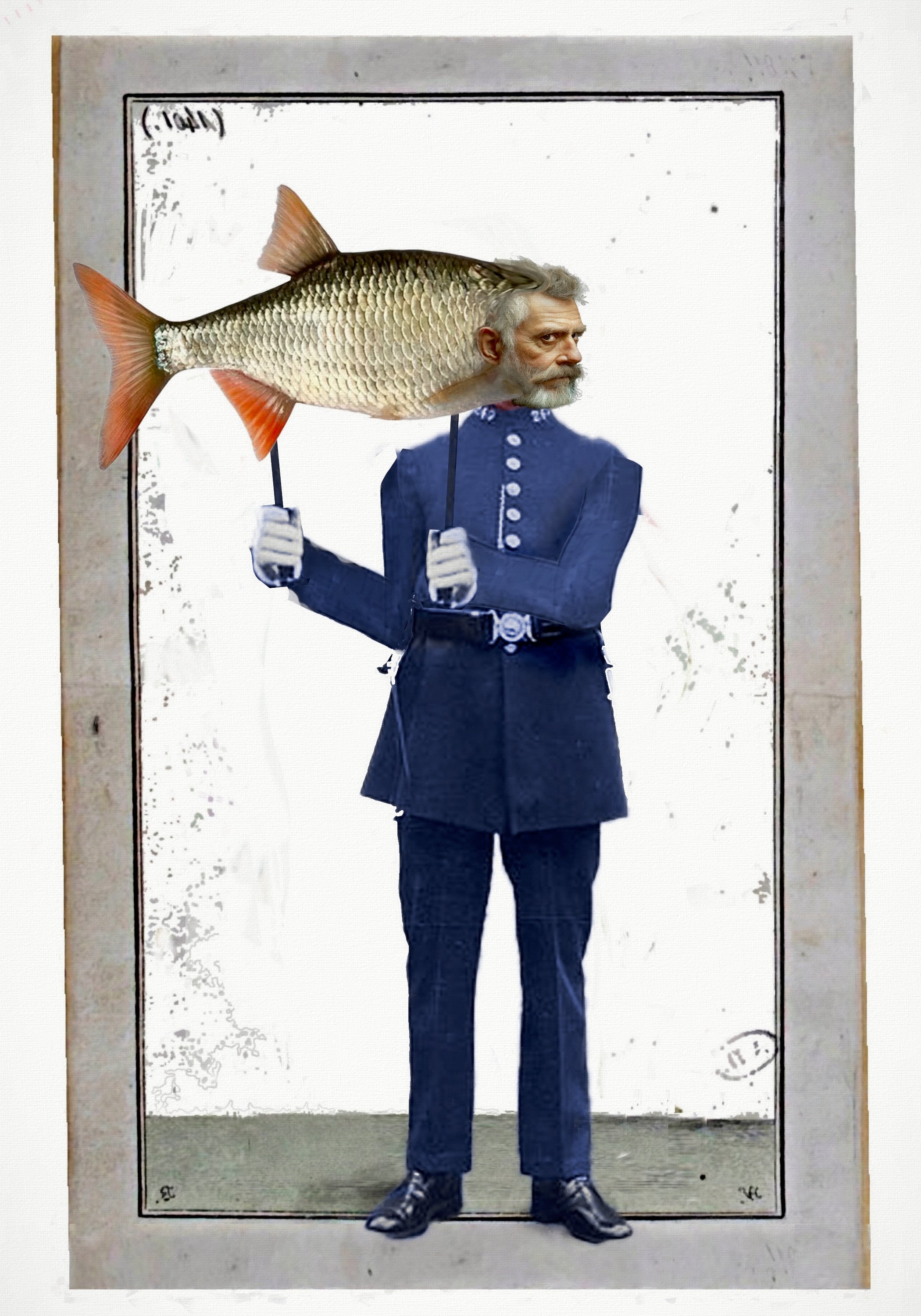 fish.jpg