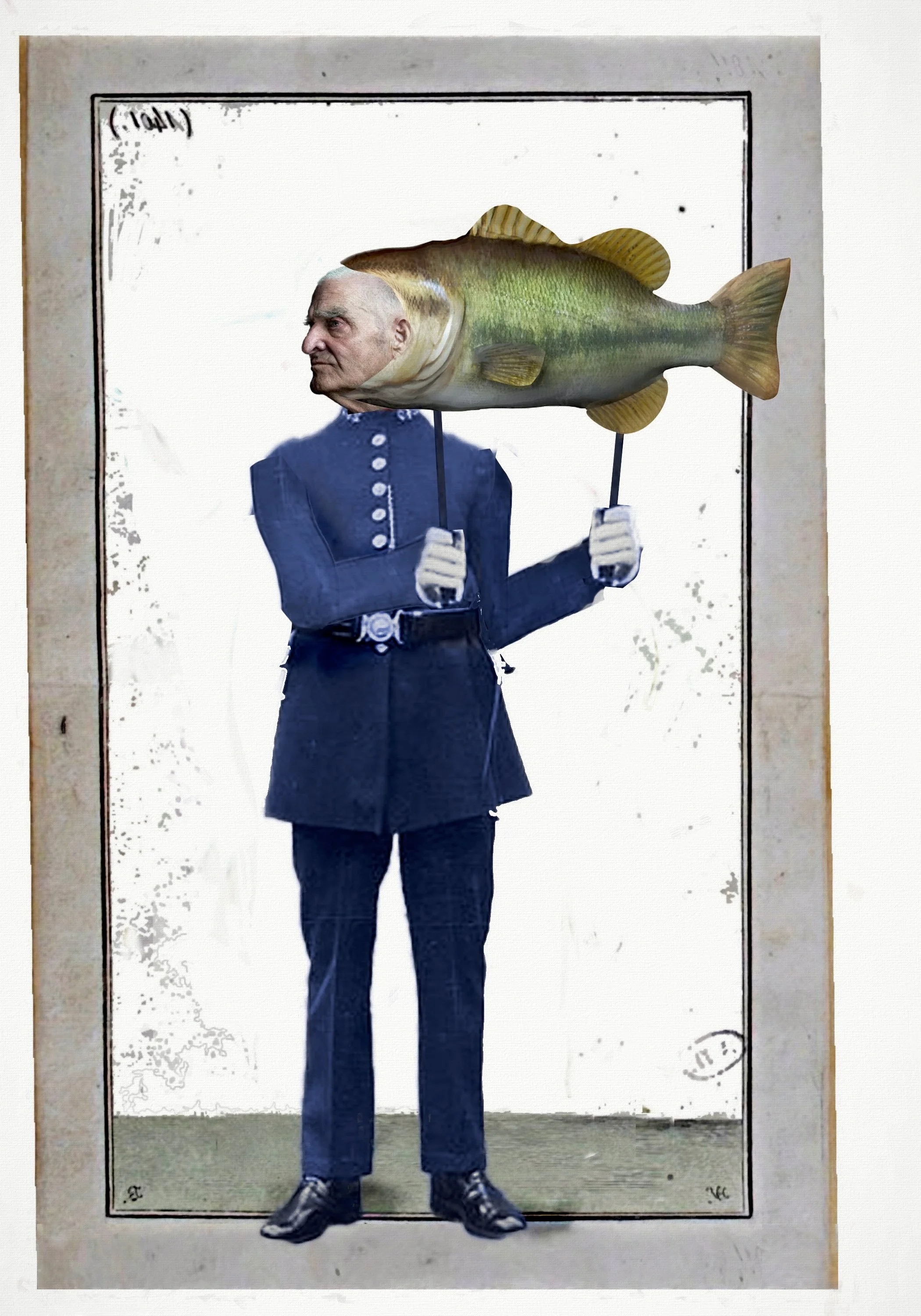 fish2.jpg
