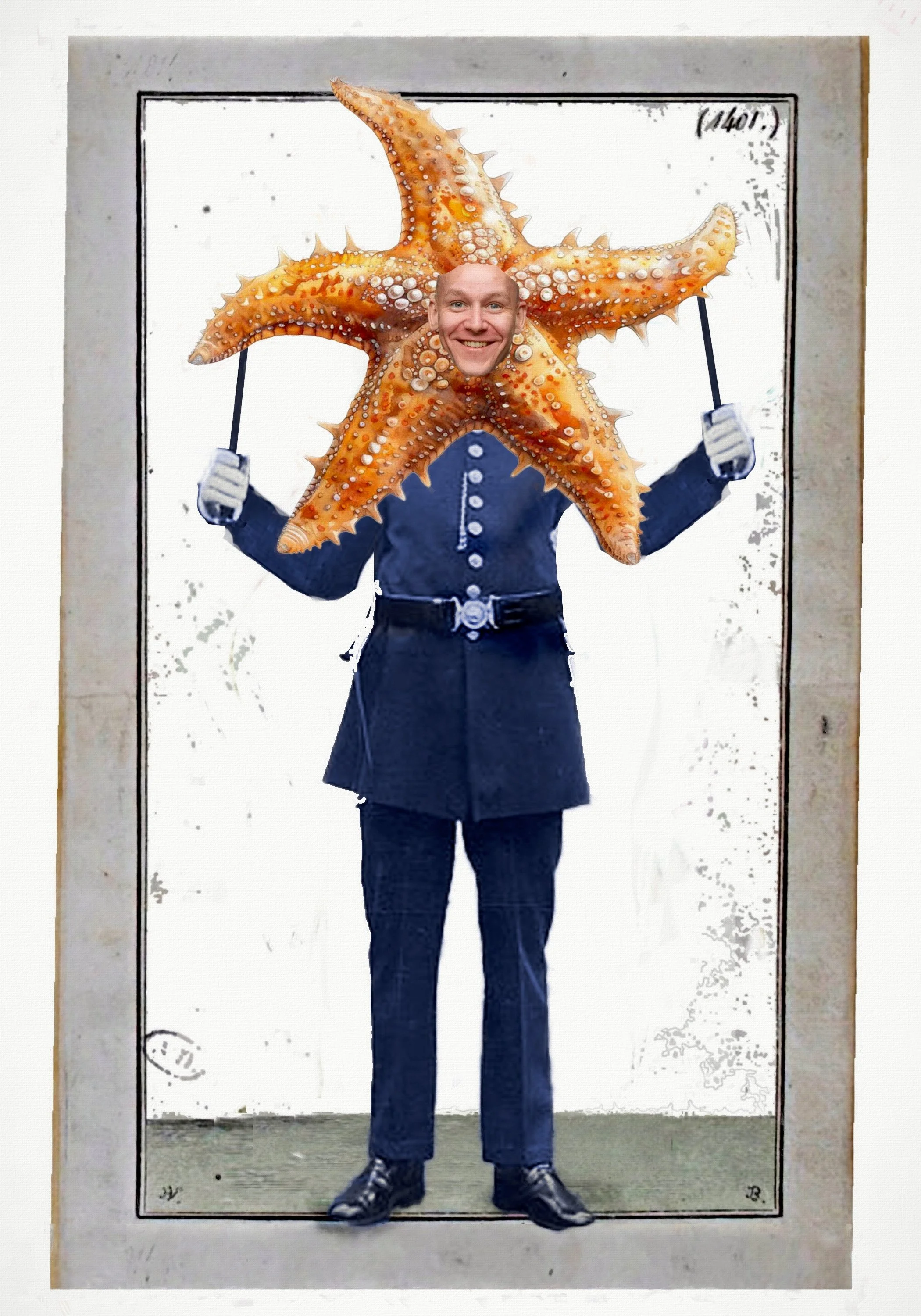 starfish.jpg