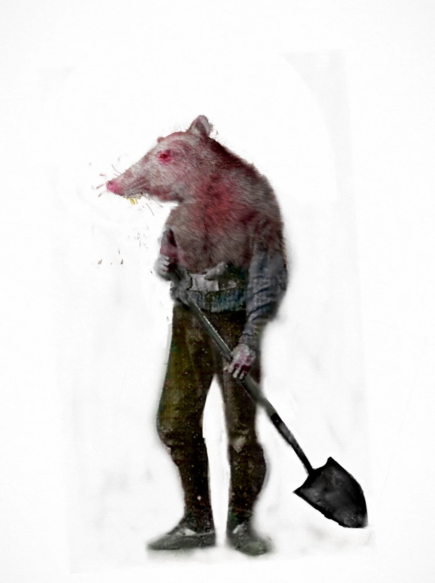 rat1.jpg
