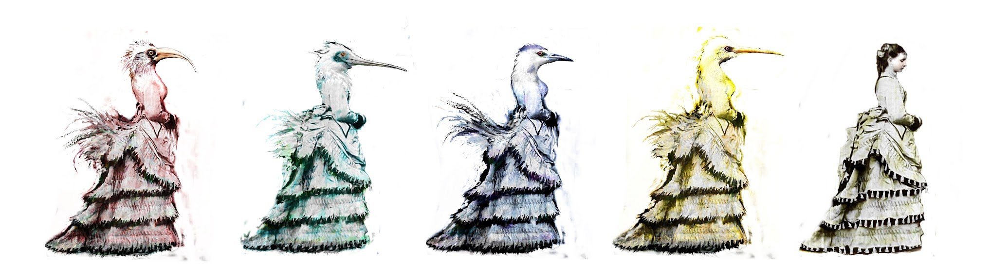 birdservant_comp.jpg
