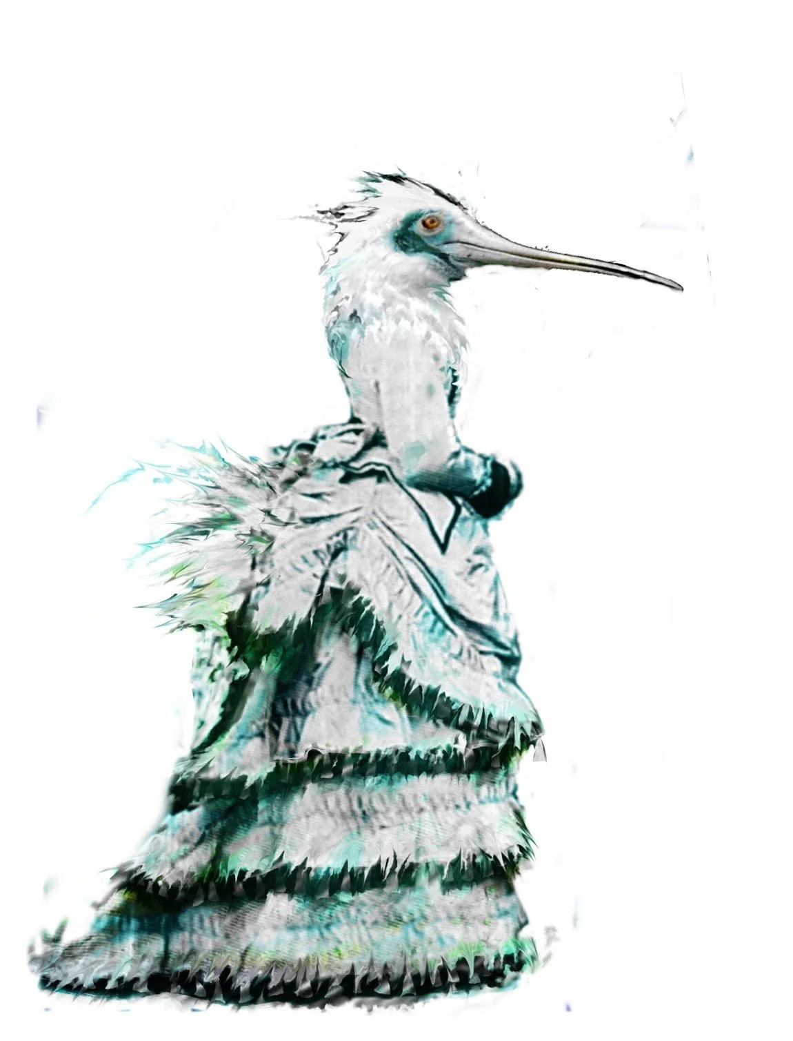 birdservant4.jpg