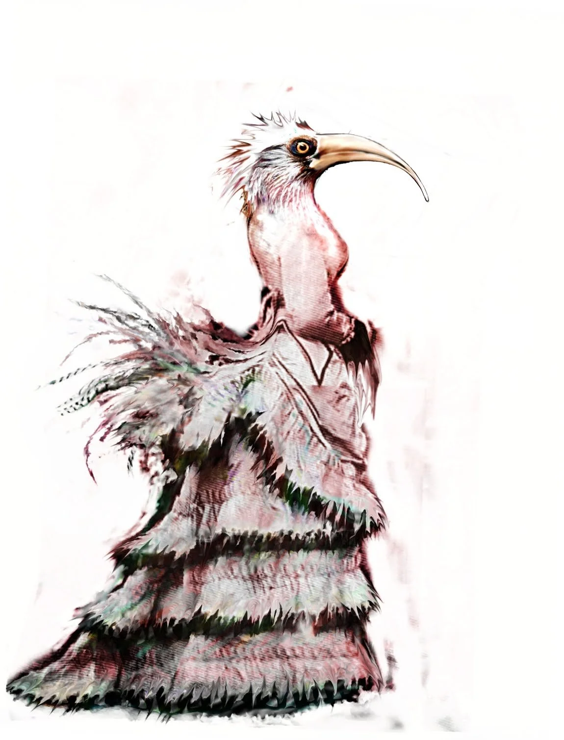 birdservant3.jpg
