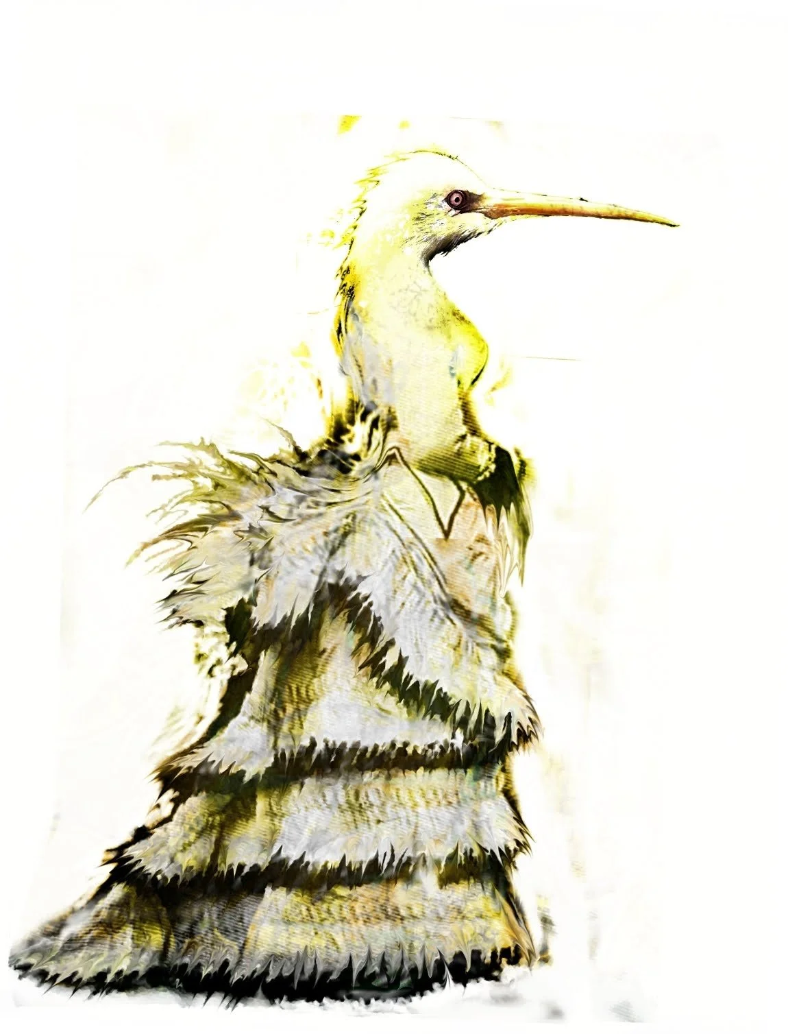 birdservant1.jpg