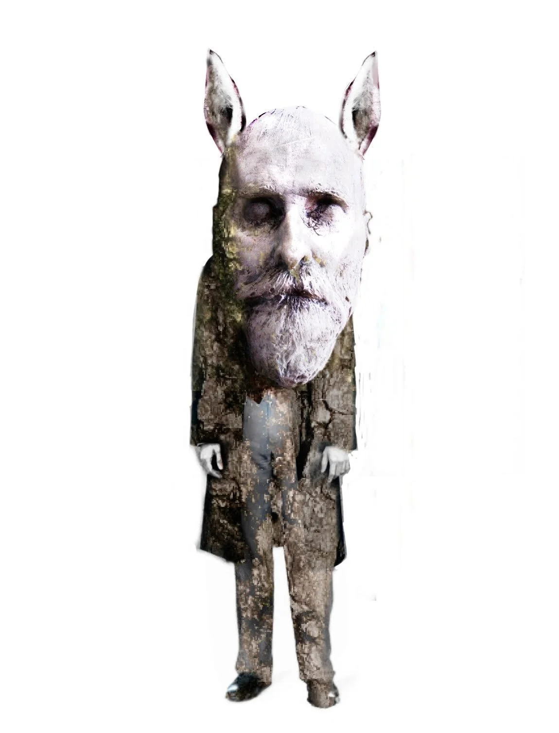 animal8.jpg