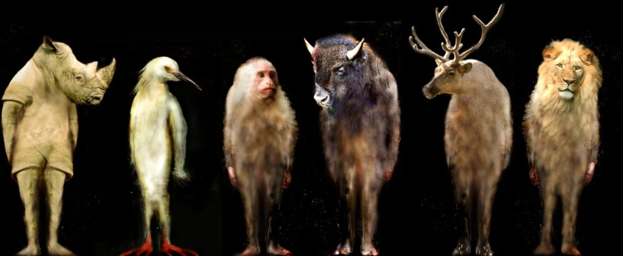 animals.jpg