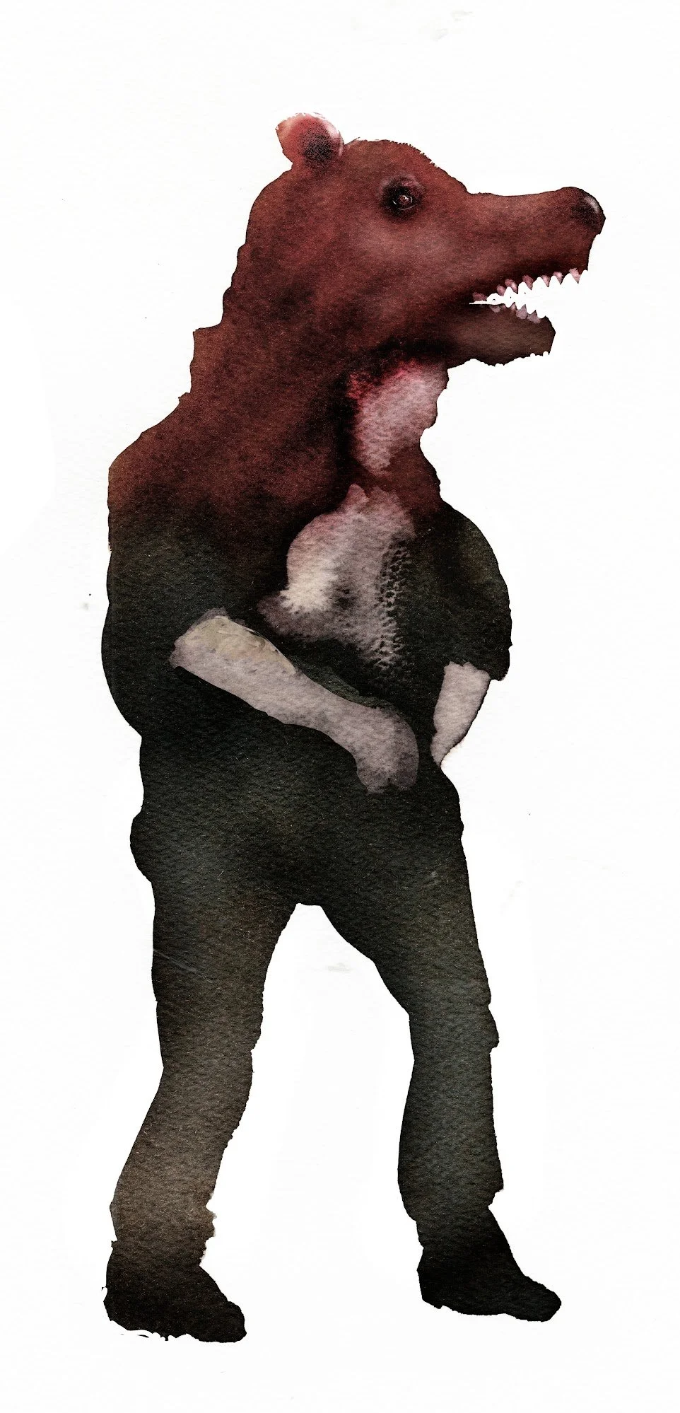 bear.jpg