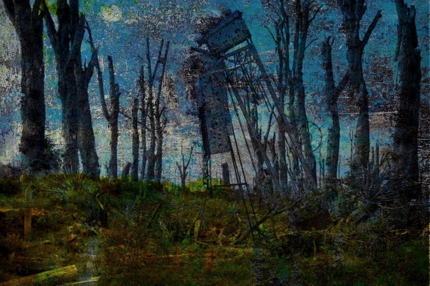 forest1.jpg