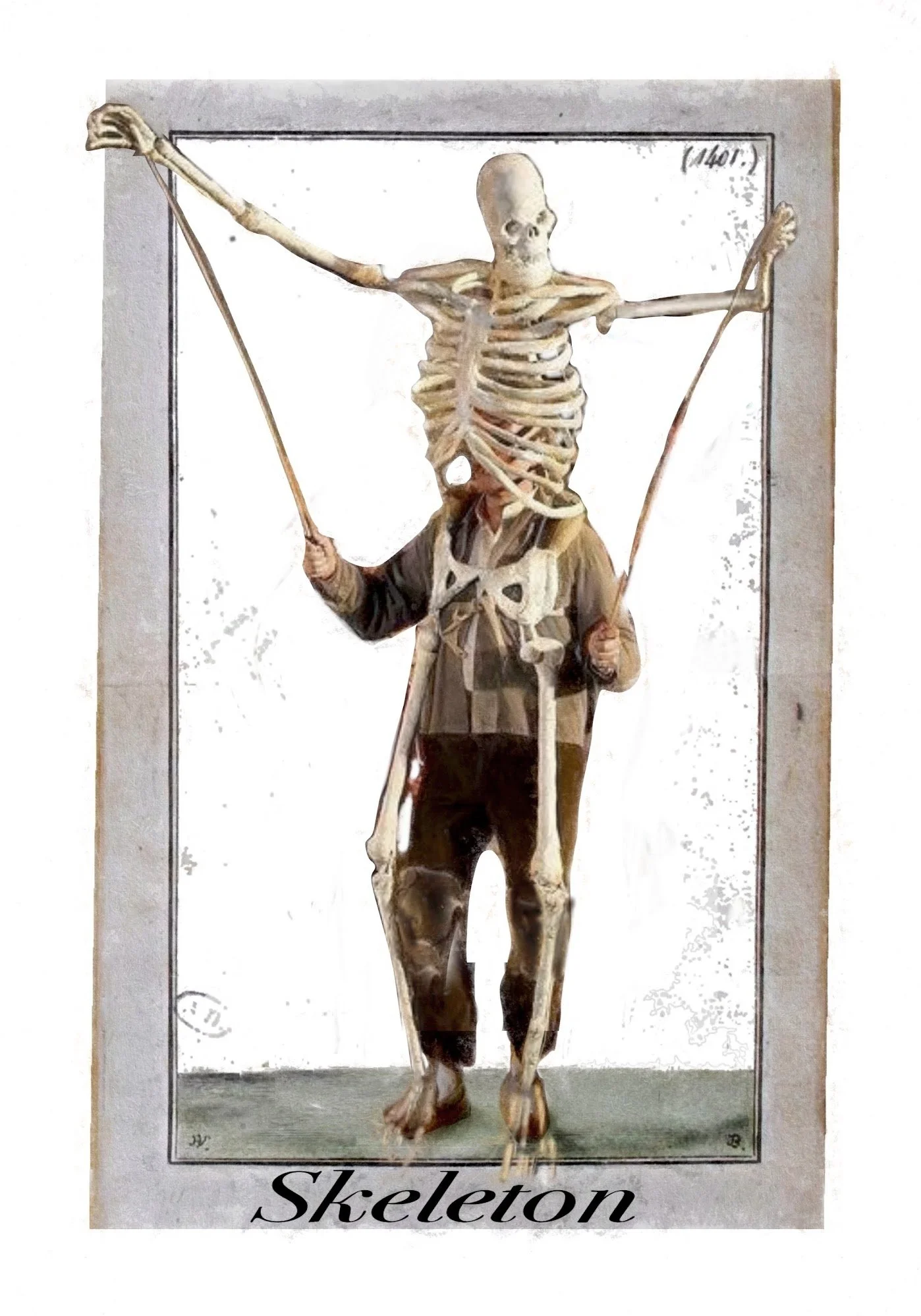skeleton.jpg