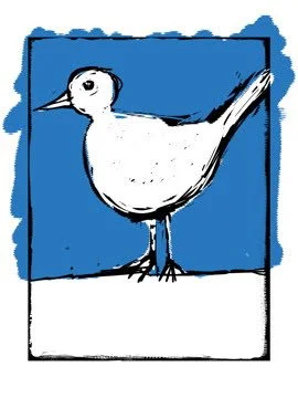 bird_001.jpg