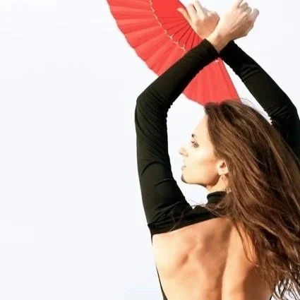 Flamenco+.jpg