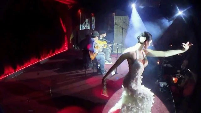 Flamenco.jpeg