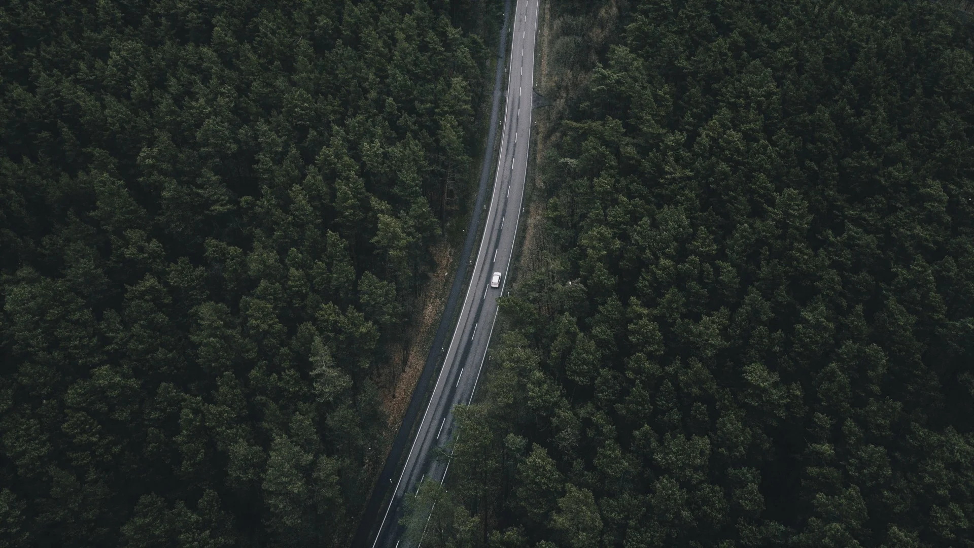 road_trees_top_view_119030_1920x1080.jpg