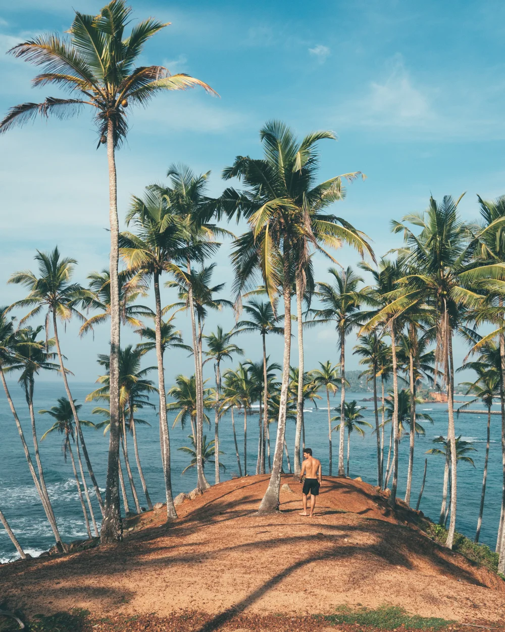 Man standing on the top of a hill surrounded by coconut trees facing the ocean.