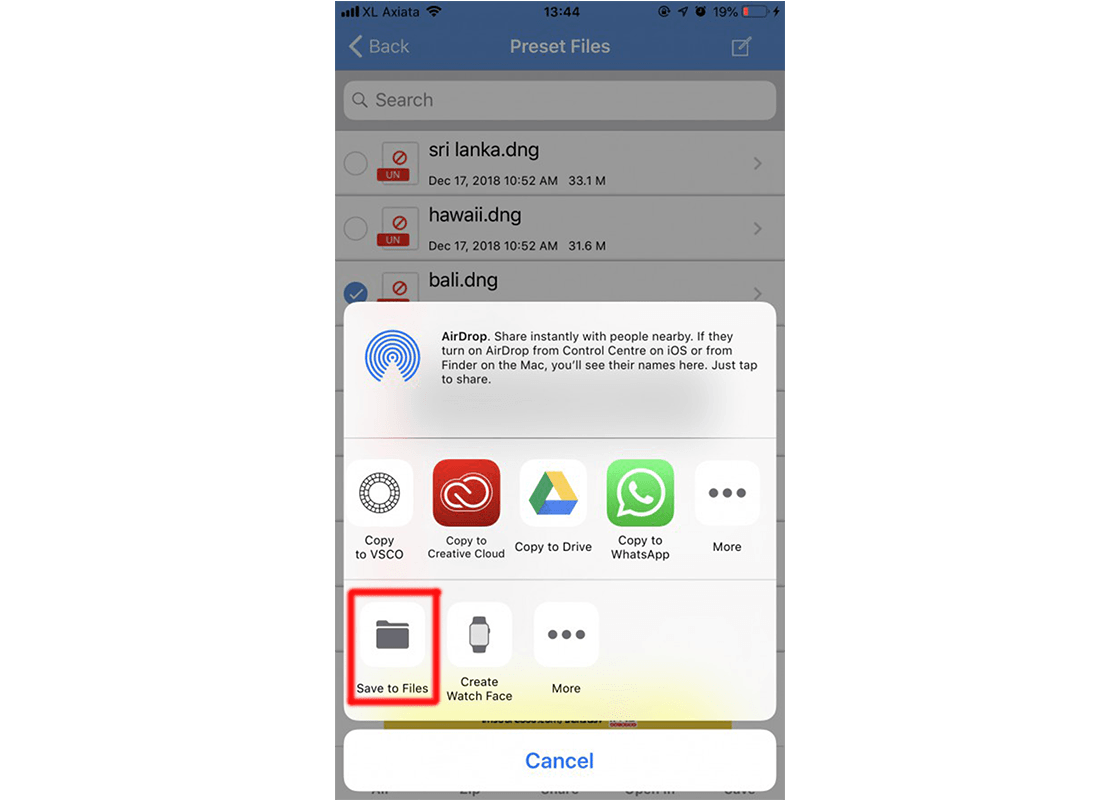 Press to Save to Files to do it with the icloud way