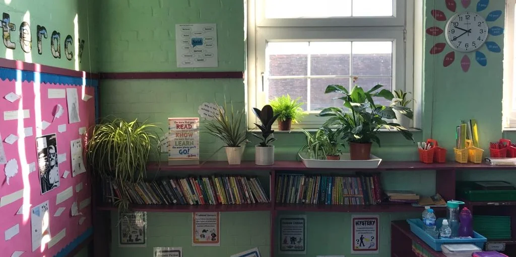 YEAR4PLANTS2.jpeg