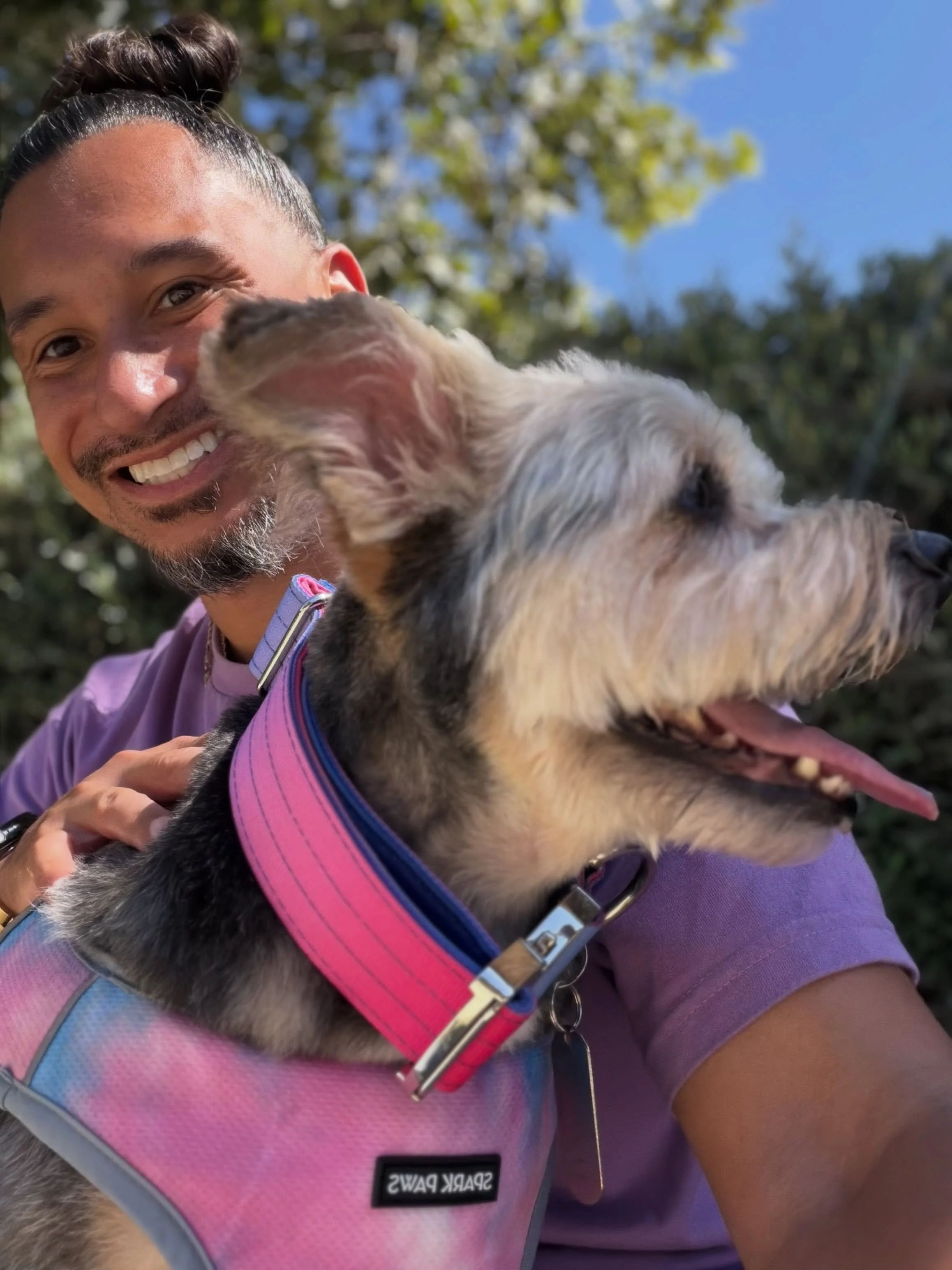 Your favorite duo. Well, your favorite dog and his human.

Check the @sparkpawsofficial link in my bio to be as cool as Logan.

#SparkPaws