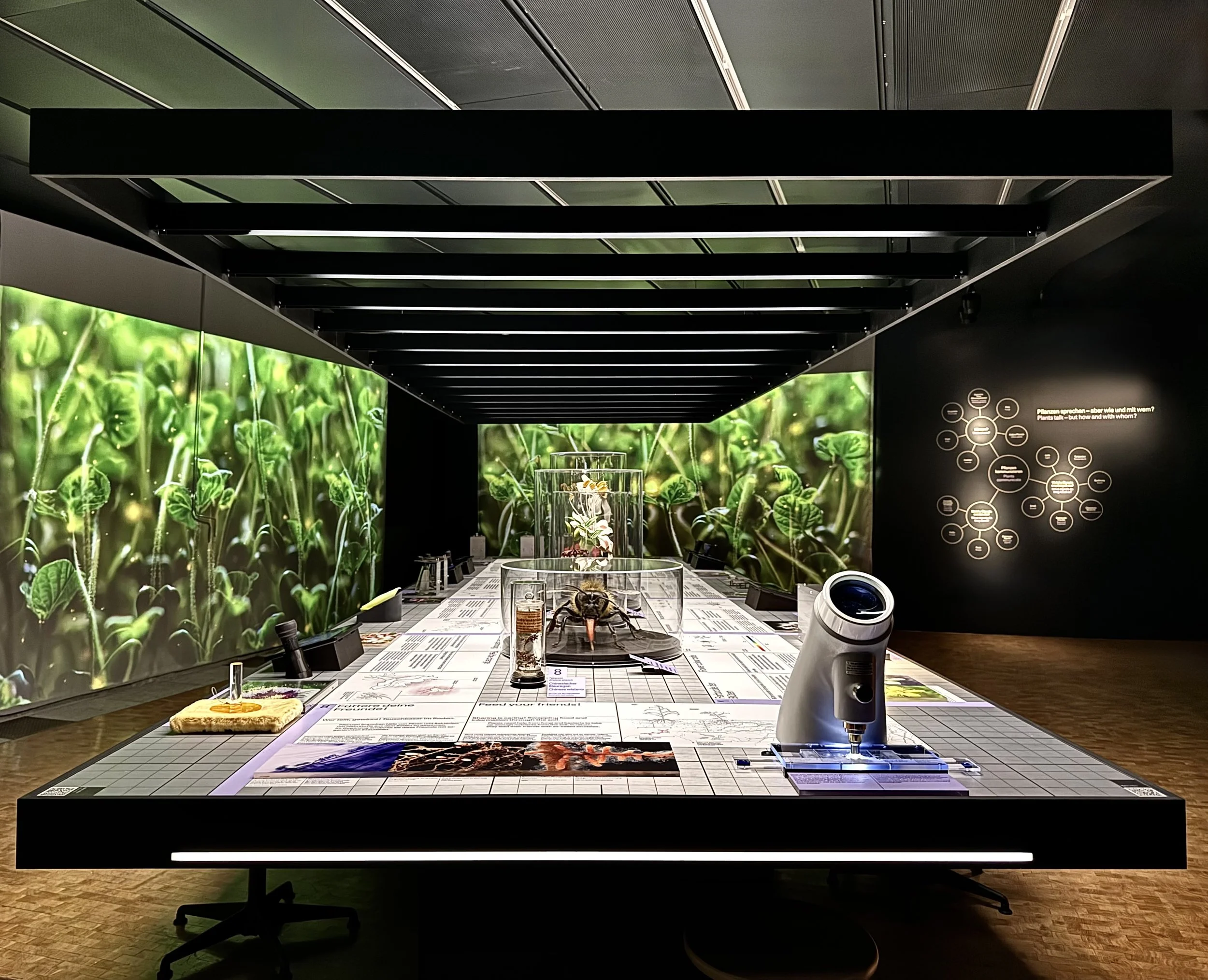 Pflanzen Sprechen mit_UZH-02-imageJFSeemann.jpeg
