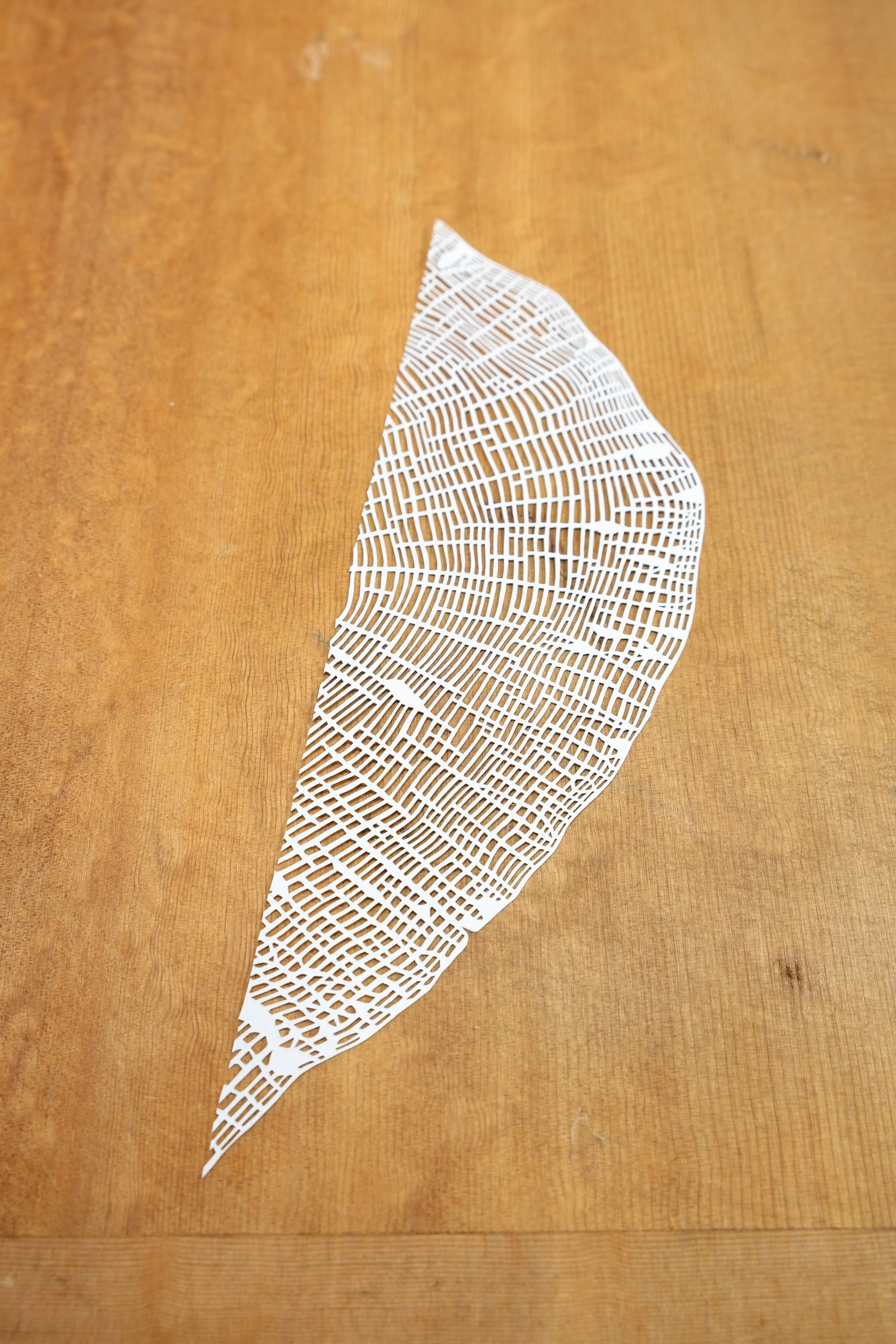 Tree rings hand cut in paper by the amazing Stevi Benson