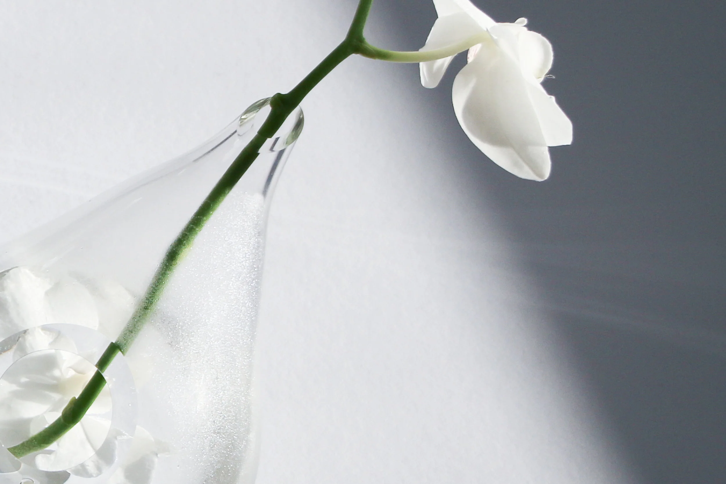 IMG_7225 copydetail2.jpg