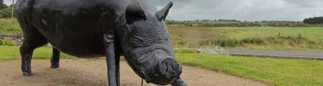mayo-ireland-enniscrone-black-pig.jpg