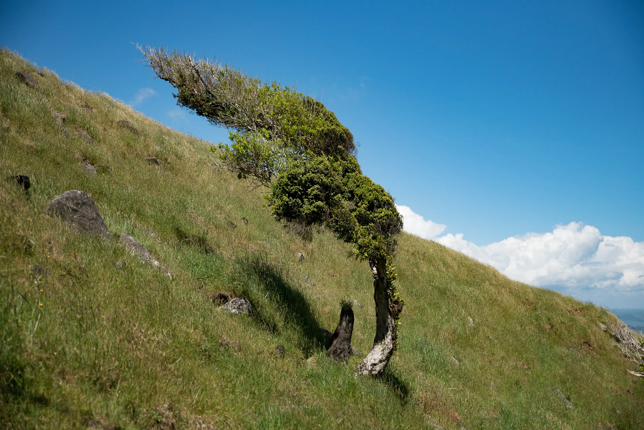 Standing your Ground