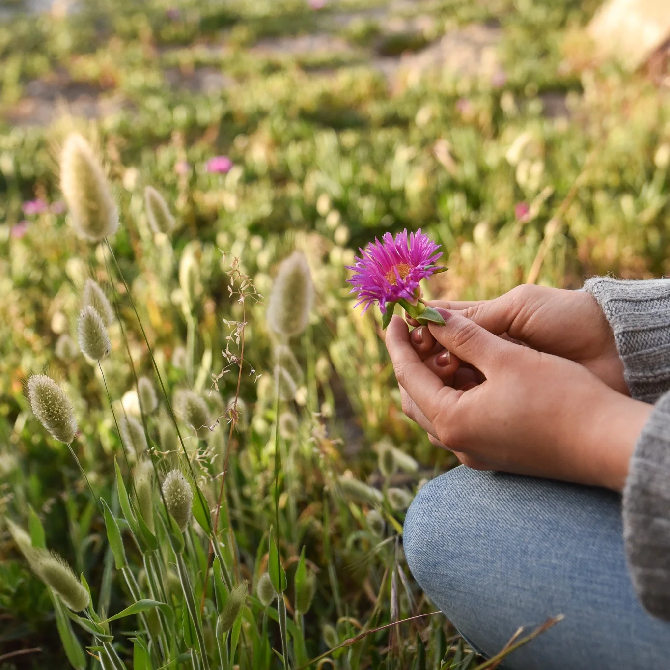 It's Restoration Season