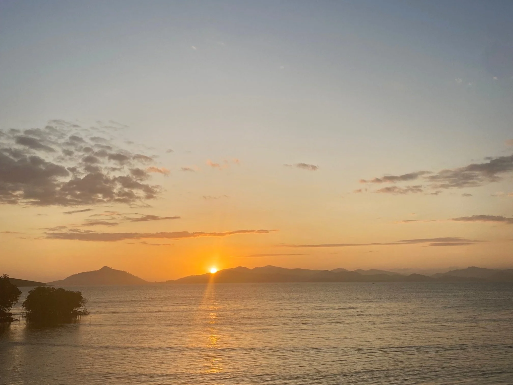 What are you expecting?