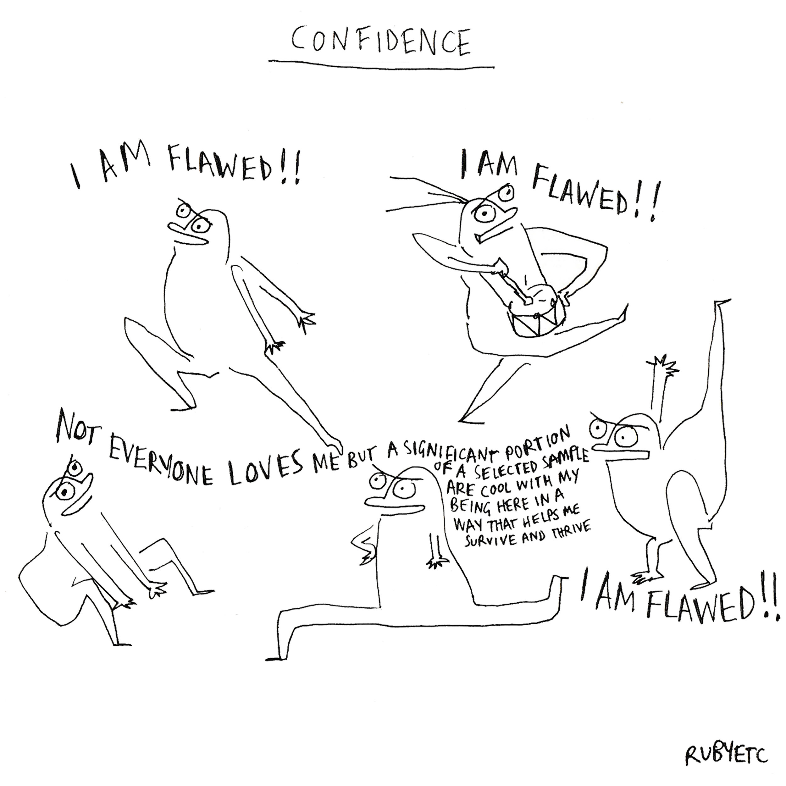 confidence s6.jpg